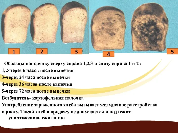 Образцы попорядку сверху справа 1,2,3 и снизу справа 1 и