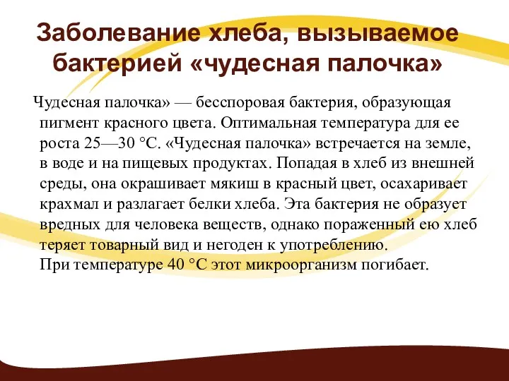 Заболевание хлеба, вызываемое бактерией «чудесная палочка» Чудесная палочка» — бесспоровая