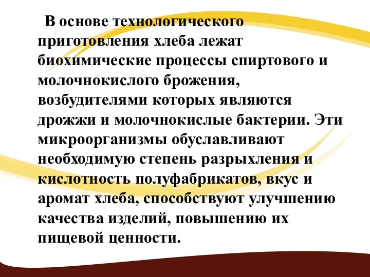 В основе технологического приготовления хлеба лежат биохимические процессы спиртового и