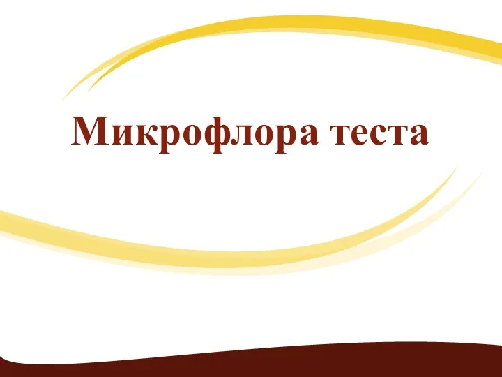 Микрофлора теста