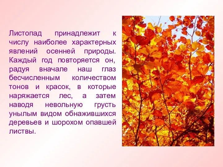 Листопад принадлежит к числу наиболее характерных явлений осенней природы. Каждый