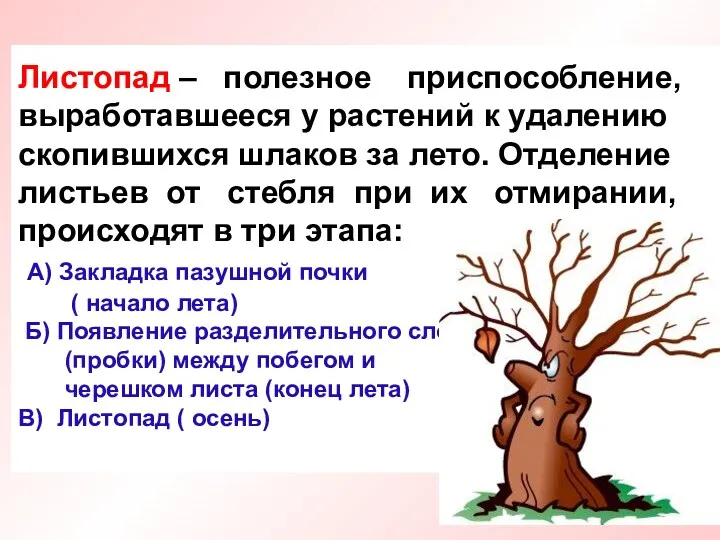 Листопад – полезное приспособление, выработавшееся у растений к удалению скопившихся