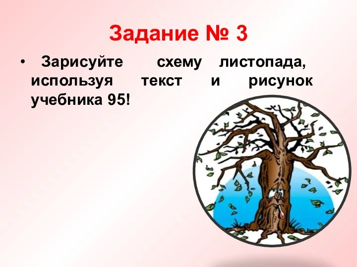 Задание № 3 Зарисуйте схему листопада, используя текст и рисунок учебника 95!