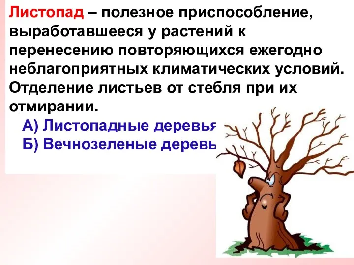 Листопад – полезное приспособление, выработавшееся у растений к перенесению повторяющихся