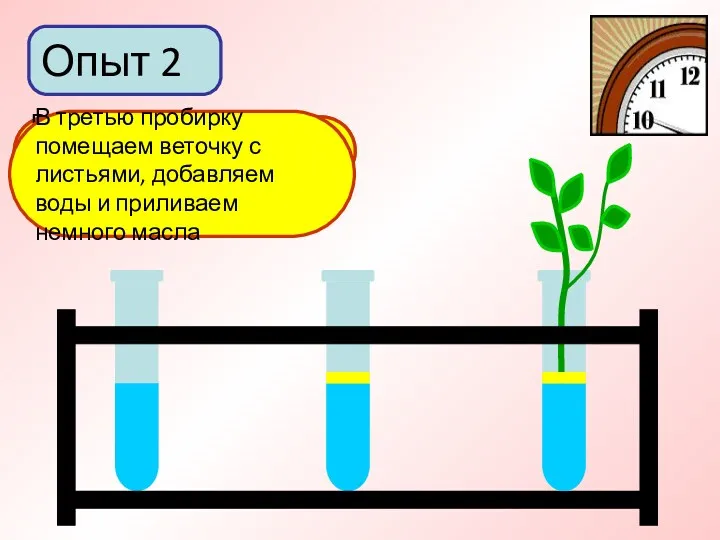 Опыт 2 В первую пробирку добавим немного воды Во вторую