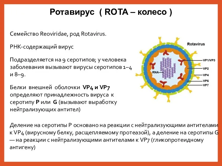 Семейство Reoviridae, род Rotavirus. РНК-содержащий вирус Подразделяется на 9 серотипов;