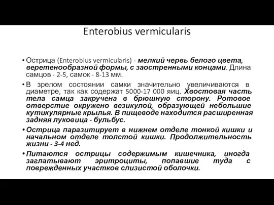 Enterobius vermicularis Острица (Enterobius vermicularis) - мелкий червь белого цвета,