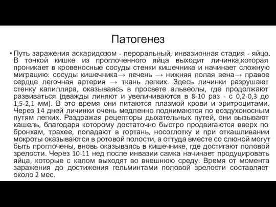 Патогенез Путь заражения аскаридозом - пероральный, инвазионная стадия - яйцо.