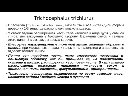 Trichocephalus trichiurus Власоглав (Trichocephalus trichiurus), назван так из-за нитевидной формы