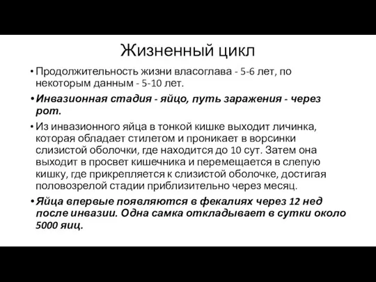 Жизненный цикл Продолжительность жизни власоглава - 5-6 лет, по некоторым