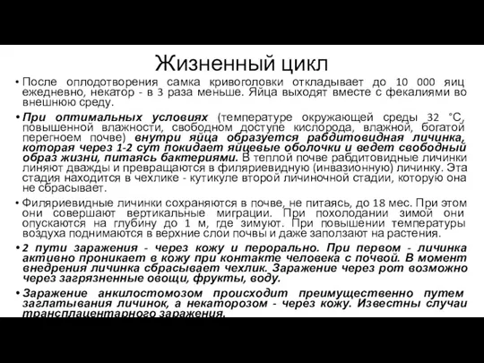 Жизненный цикл После оплодотворения самка кривоголовки откладывает до 10 000