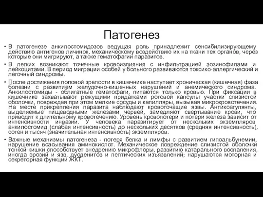 Патогенез В патогенезе анкилостомидозов ведущая роль принадлежит сенсибилизирующему действию антигенов