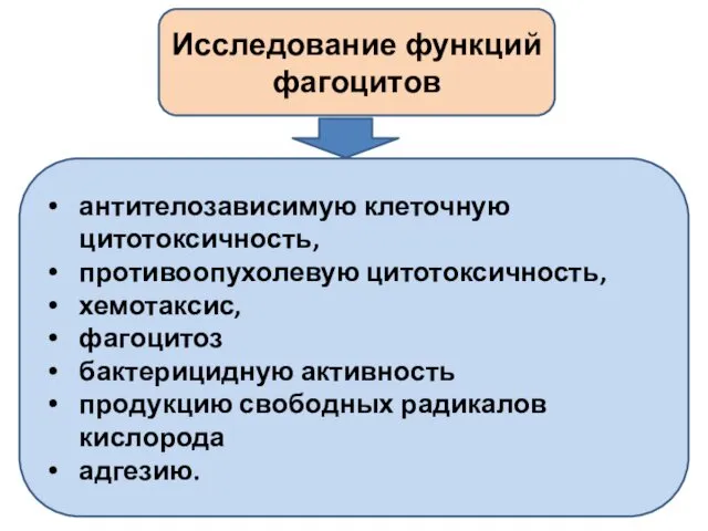 Исследование функций фагоцитов антителозависимую клеточную цитотоксичность, противоопухолевую цитотоксичность, хемотаксис, фагоцитоз