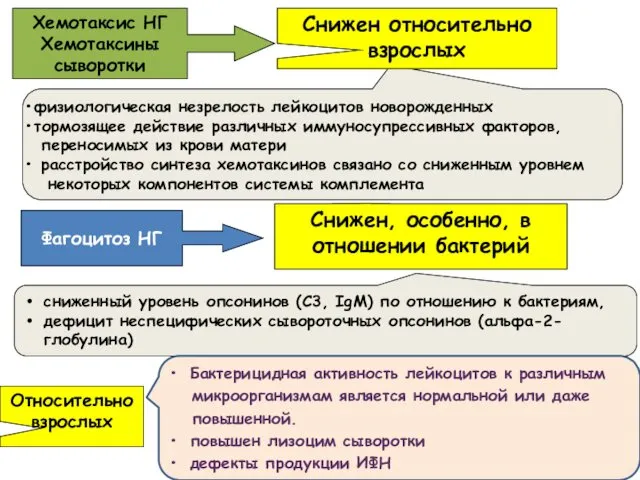 Хемотаксис НГ Хемотаксины сыворотки Относительно взрослых физиологическая незрелость лейкоцитов новорожденных