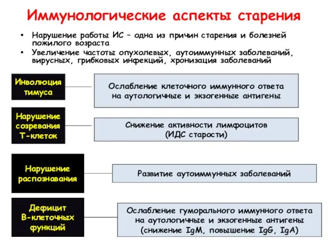 Иммунологические аспекты старения Нарушение работы ИС – одна из причин