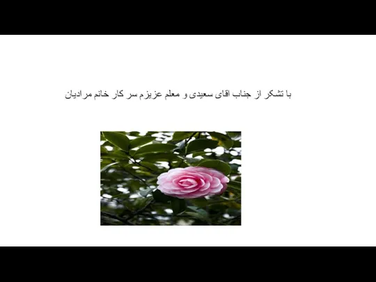 با تشکر از جناب اقای سعیدی و معلم عزیزم سر کار خانم مرادیان