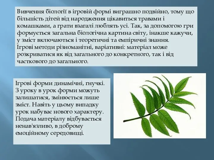 Вивчення біології в ігровій формі виграшно подвійно, тому що більшість