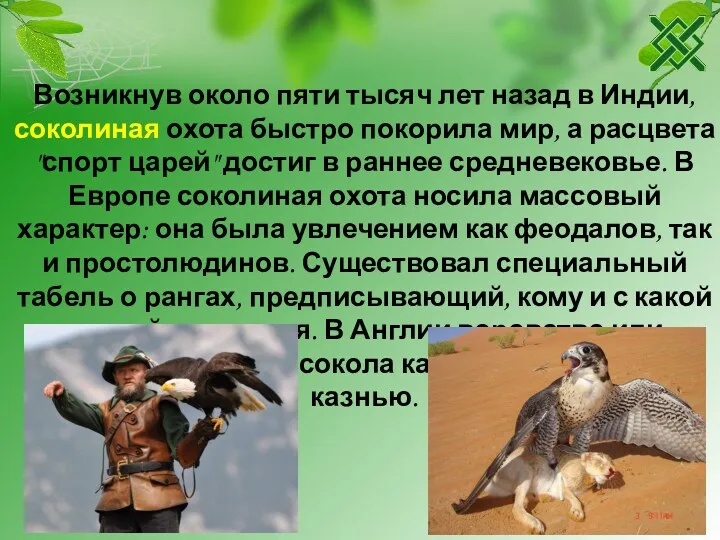 Возникнув около пяти тысяч лет назад в Индии, соколиная охота