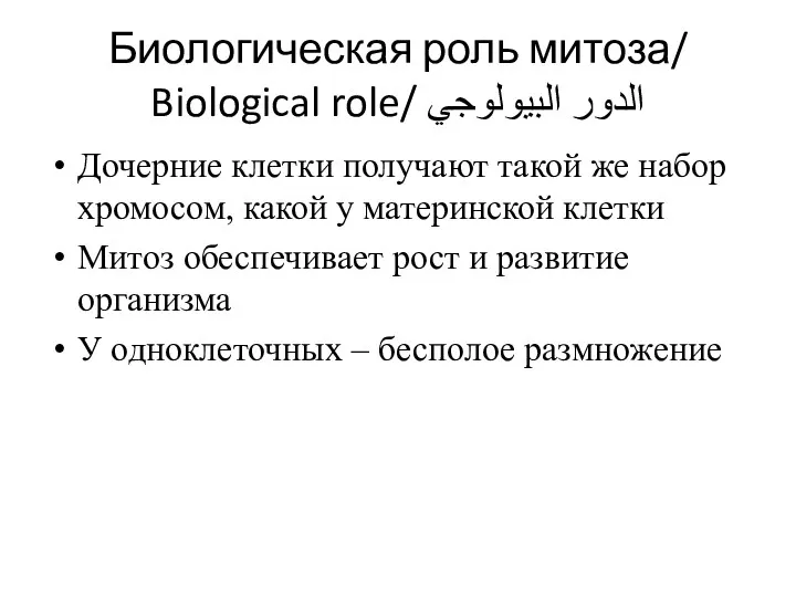 Биологическая роль митоза/ Biological role/ الدور البيولوجي Дочерние клетки получают такой же набор