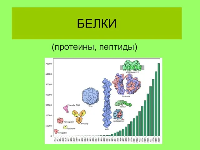 БЕЛКИ (протеины, пептиды)