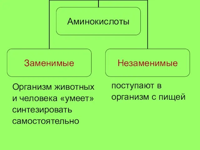 Организм животных и человека «умеет» синтезировать самостоятельно поступают в организм с пищей