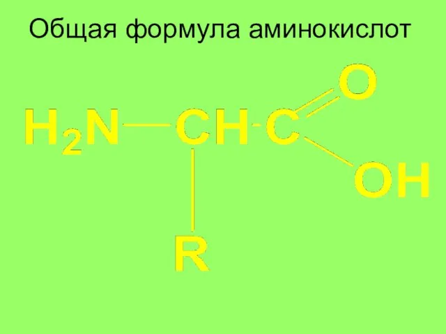 Общая формула аминокислот ??? ??? ???