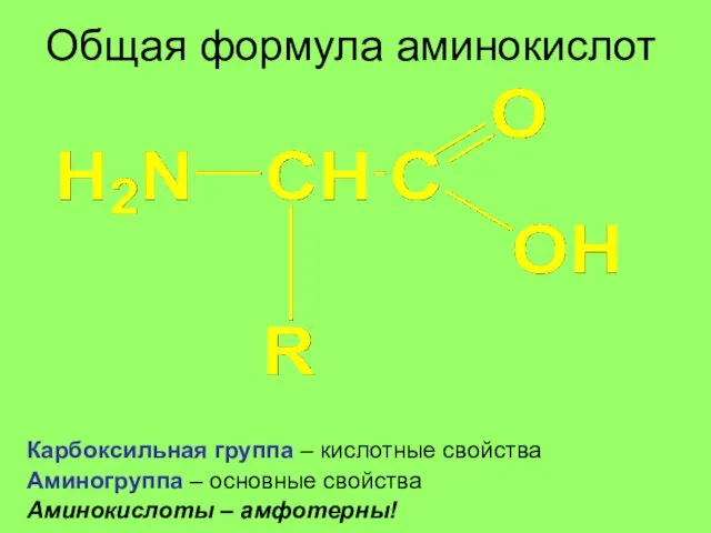 Общая формула аминокислот аминогруппа карбоксильная группа радикал – изменяемая часть