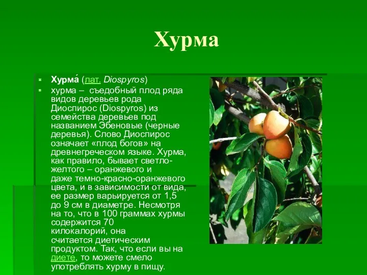 Хурма Хурма́ (лат. Diospyros) хурма – съедобный плод ряда видов