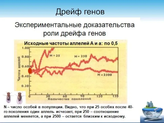 11.2.19 Дрейф генов