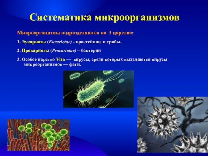 Систематика микроорганизмов Микроорганизмы подразделяются на 3 царства: 1. Эукариоты (Eucariotae)