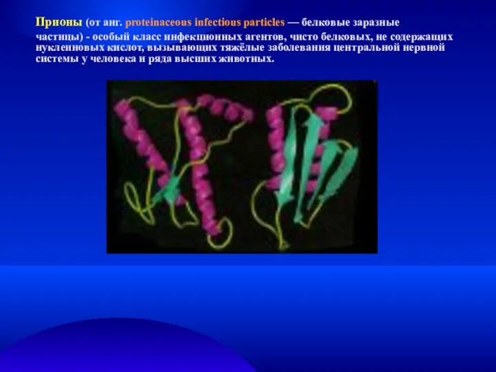 Прионы (от анг. proteinaceous infectious particles — белковые заразные частицы)