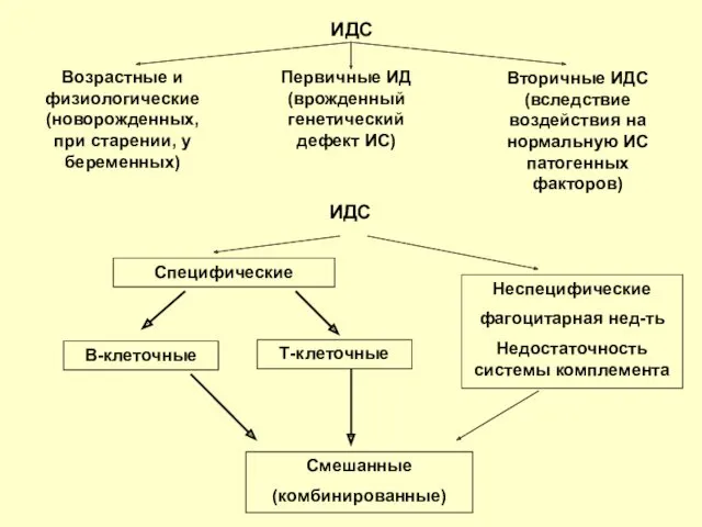 ИДС В-клеточные Т-клеточные Неспецифические фагоцитарная нед-ть Недостаточность системы комплемента Смешанные