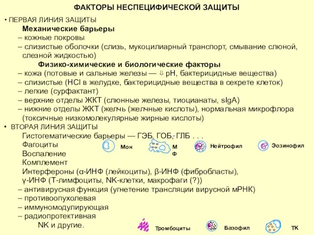 ФАКТОРЫ НЕСПЕЦИФИЧЕСКОЙ ЗАЩИТЫ ПЕРВАЯ ЛИНИЯ ЗАЩИТЫ Механические барьеры кожные покровы