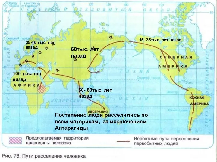 100 тыс. лет назад 35-40 тыс. лет назад 15- 35тыс.