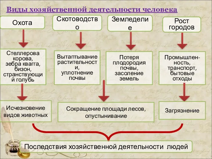 Виды хозяйственной деятельности человека Охота Скотоводство Земледелие Рост городов Стеллерова