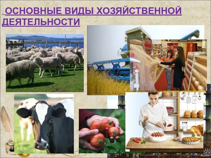 . ОСНОВНЫЕ ВИДЫ ХОЗЯЙСТВЕННОЙ ДЕЯТЕЛЬНОСТИ