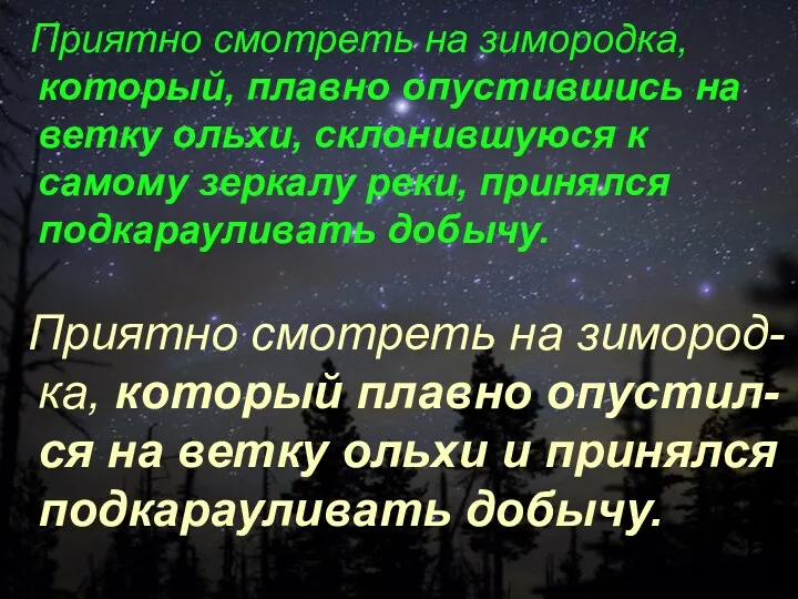 Приятно смотреть на зимородка, который, плавно опустившись на ветку ольхи,