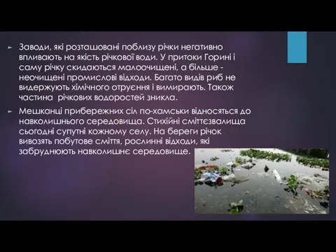 Заводи, які розташовані поблизу річки негативно впливають на якість річкової