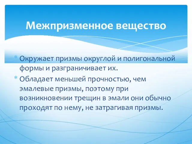 Окружает призмы округлой и полигональной формы и разграничивает их. Обладает