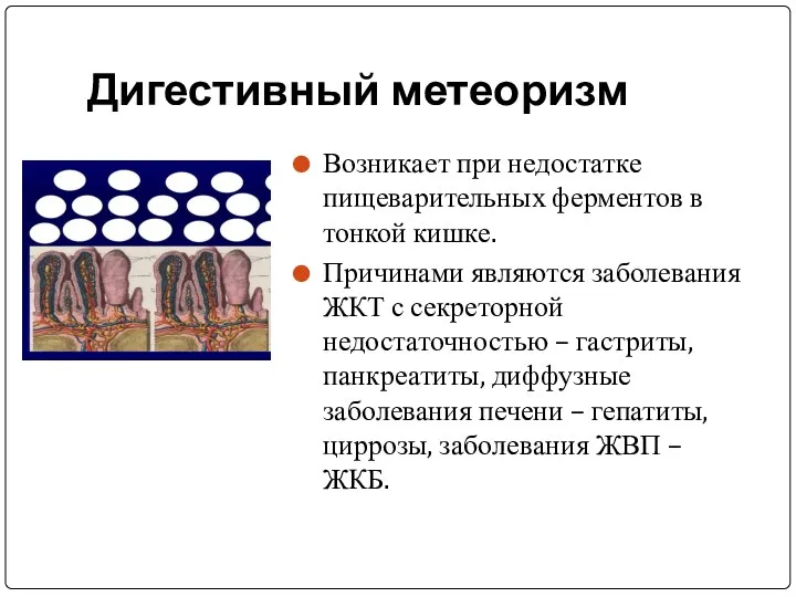 Дигестивный метеоризм Возникает при недостатке пищеварительных ферментов в тонкой кишке.