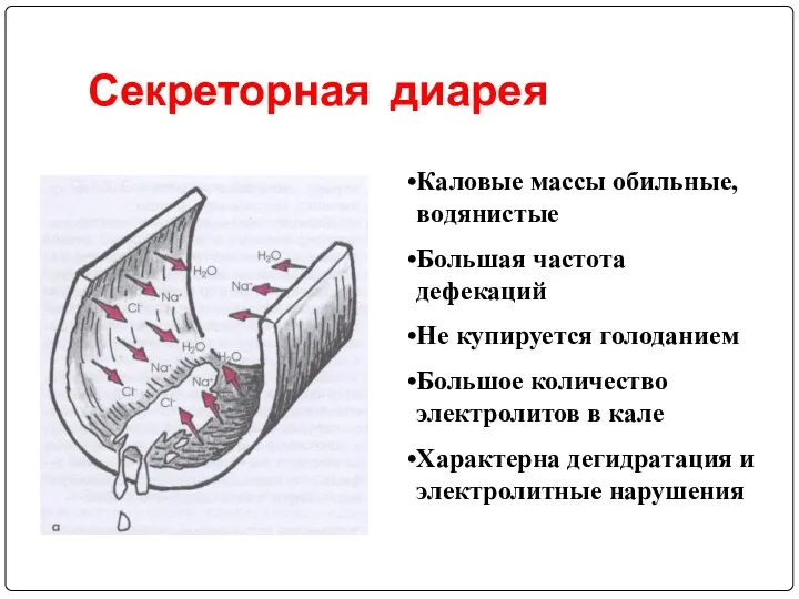 Секреторная диарея Каловые массы обильные, водянистые Большая частота дефекаций Не