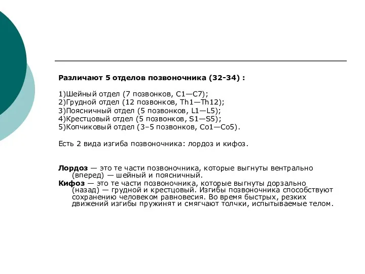 Различают 5 отделов позвоночника (32-34) : 1)Шейный отдел (7 позвонков, C1—C7); 2)Грудной отдел