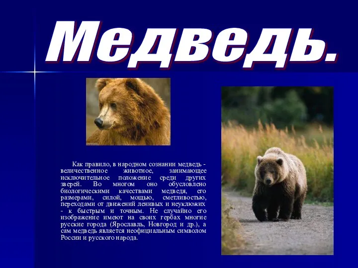 Медведь. Как правило, в народном сознании медведь - величественное животное, занимающее исключительное положение