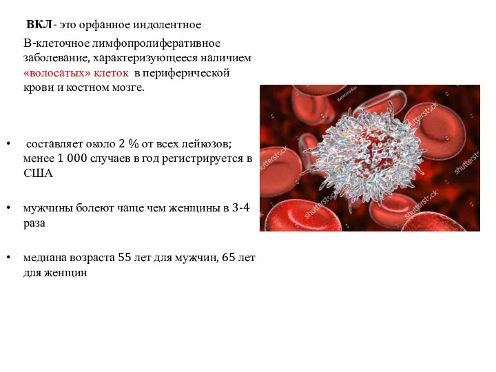 ВКЛ- это орфанное индолентное В-клеточное лимфопролиферативное заболевание, характеризующееся наличием «волосатых»