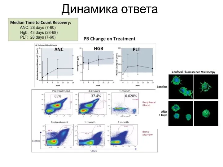 Динамика ответа