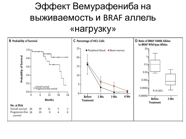 Эффект Вемурафениба на выживаемость и BRAF аллель «нагрузку»