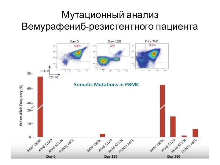 Мутационный анализ Вемурафениб-резистентного пациента