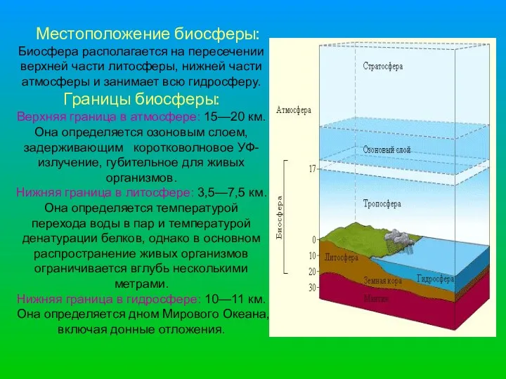 Местоположение биосферы: Биосфера располагается на пересечении верхней части литосферы, нижней части атмосферы и