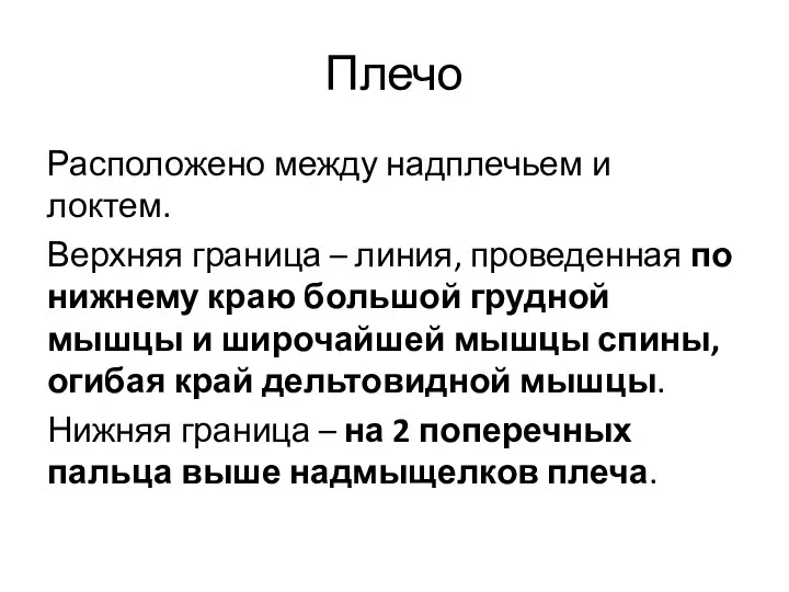 Плечо Расположено между надплечьем и локтем. Верхняя граница – линия, проведенная по нижнему