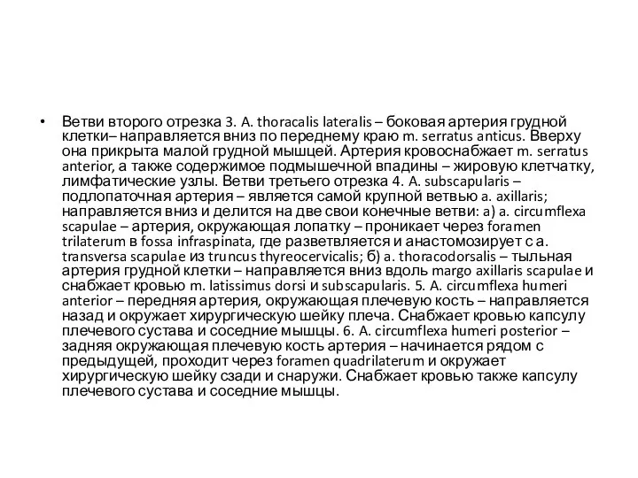 Ветви второго отрезка 3. A. thoracalis lateralis – боковая артерия грудной клетки– направляется